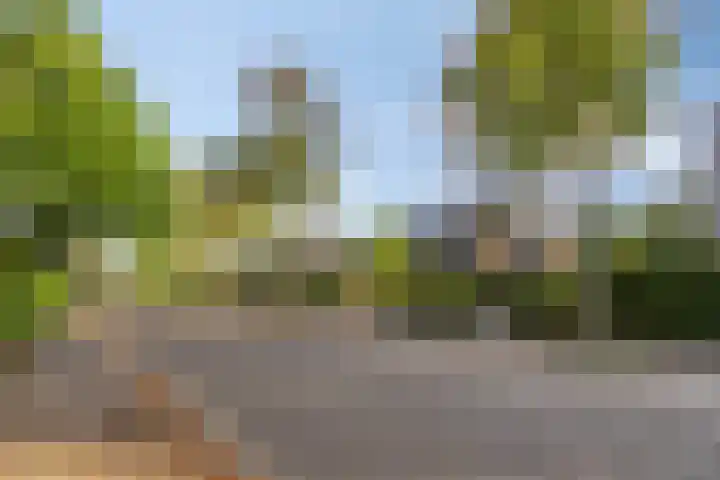 Kerkhoflaan 15 Lunteren thumbnail 47