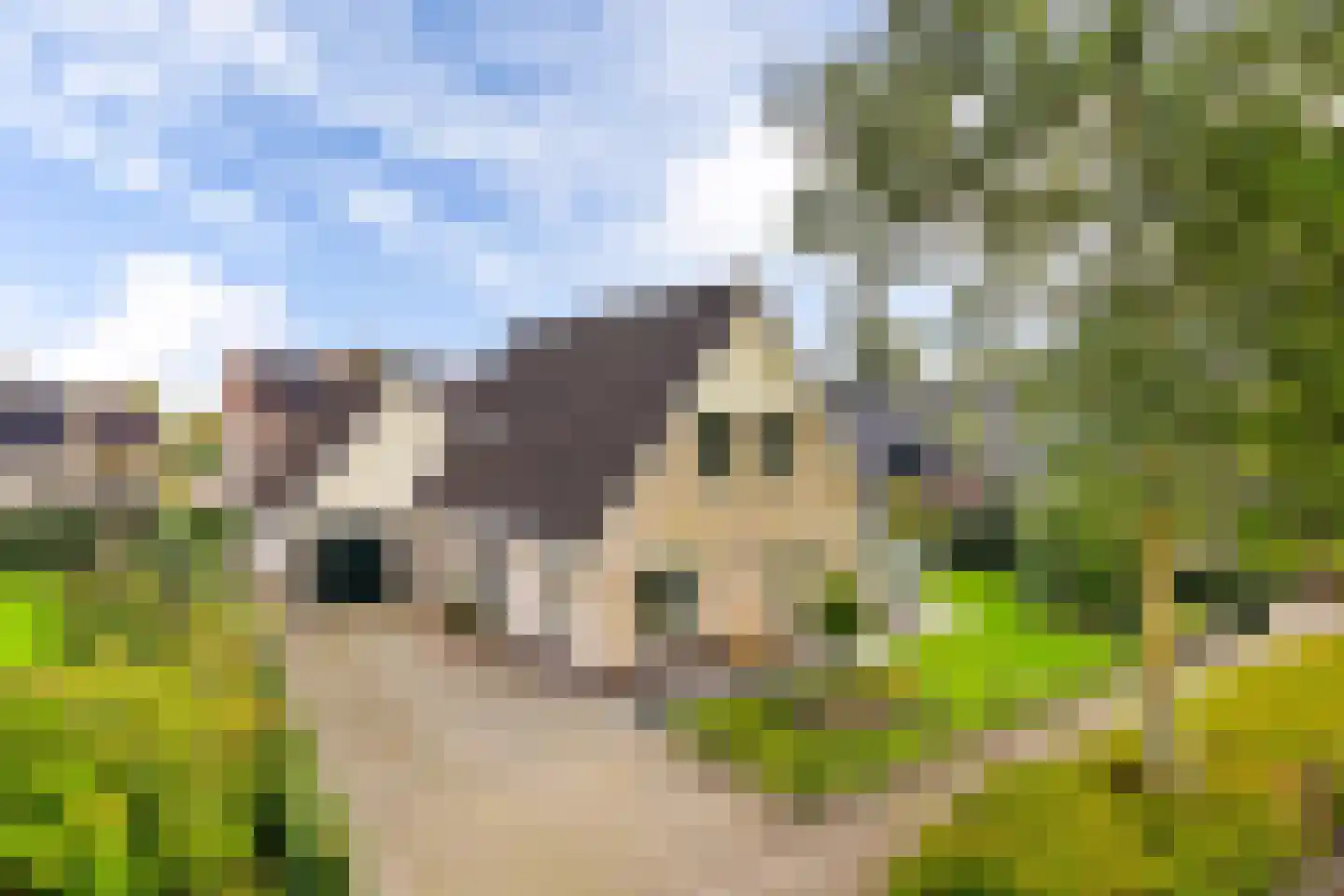Kerkhoflaan 16 Sintjohannesga thumbnail 38