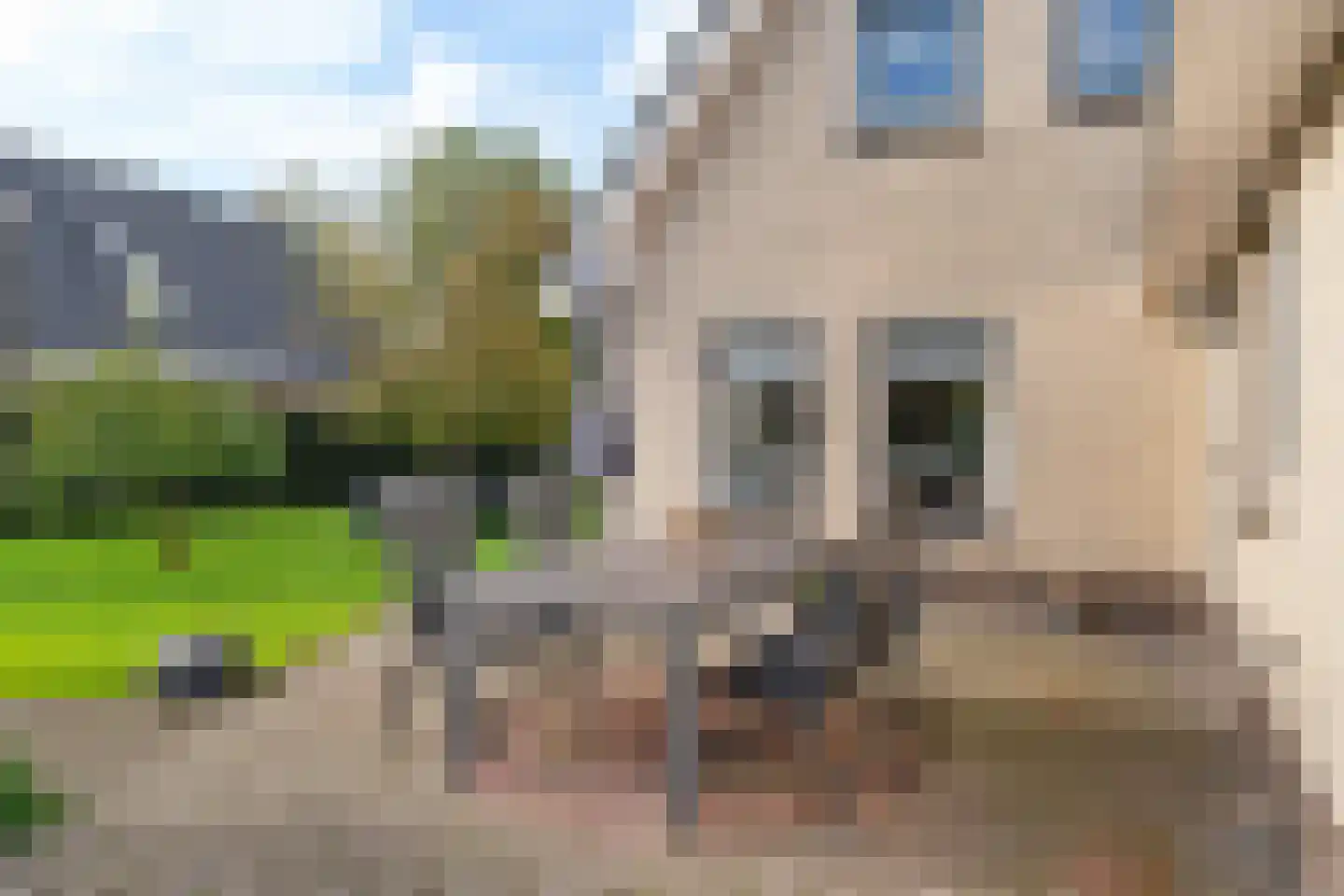 Kerkhoflaan 16 Sintjohannesga thumbnail 41