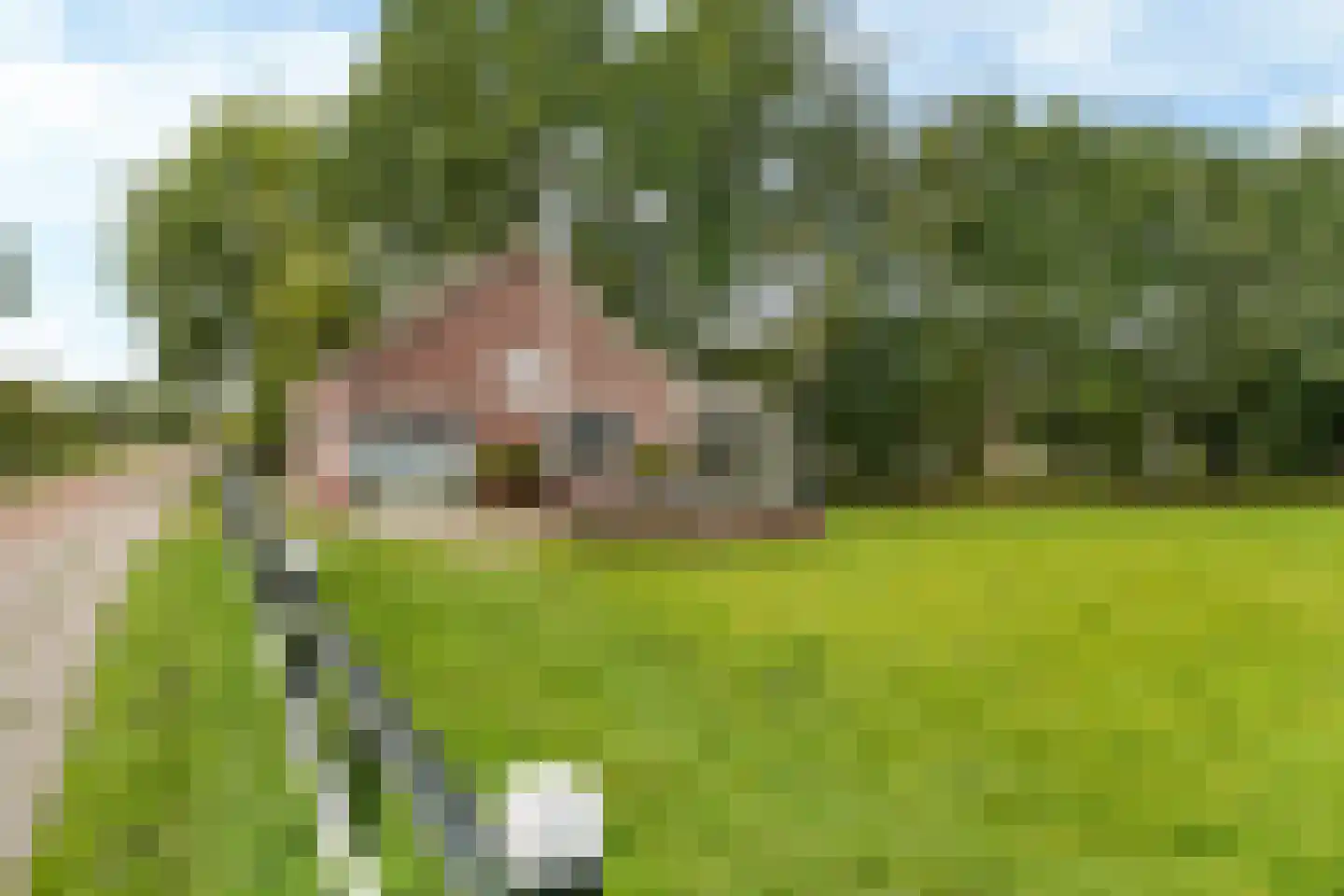 Kerkhoflaan 16 Sintjohannesga thumbnail 47