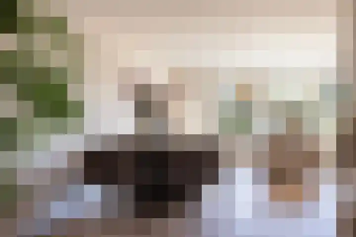 Kerkhoflaan 18 Schoonebeek thumbnail 15