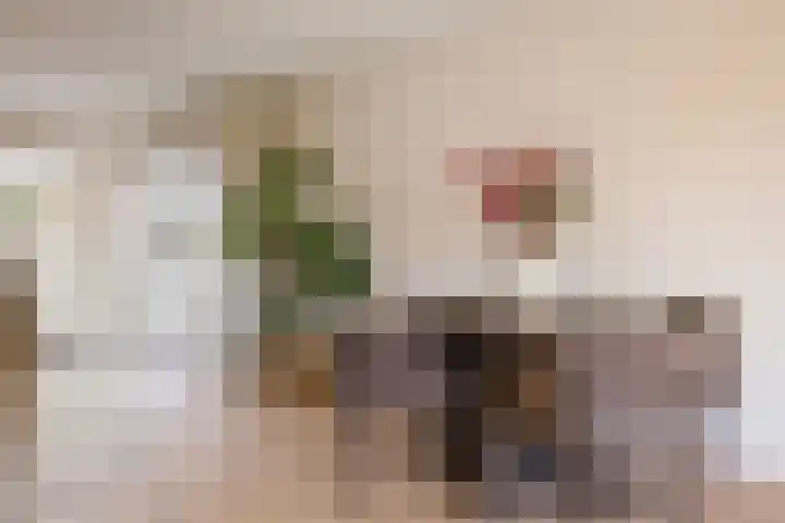 Kerkhoflaan 18 Schoonebeek thumbnail 19