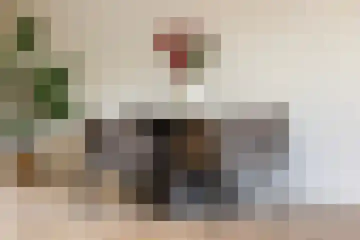 Kerkhoflaan 18 Schoonebeek thumbnail 21