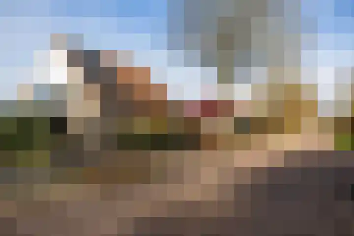 Kerkhoflaan 18 Schoonebeek thumbnail 6
