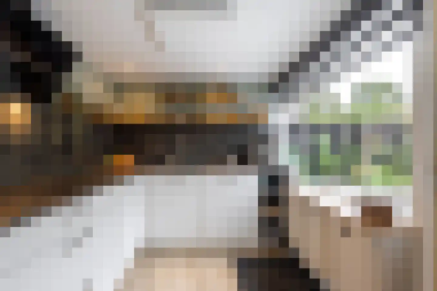 Kerkhoflaan 2 Giessenburg thumbnail 15
