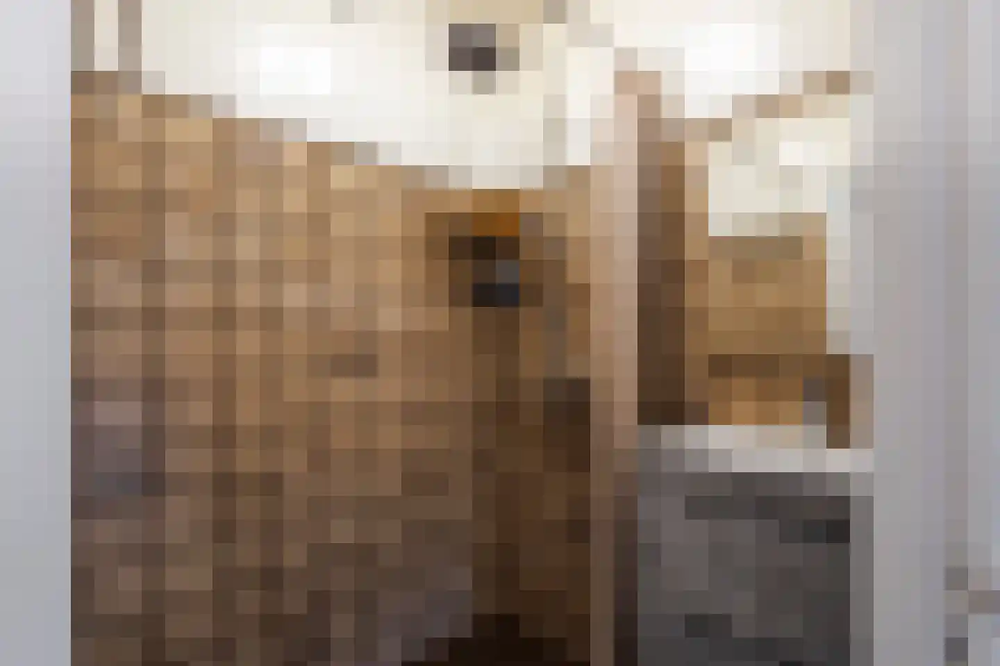 Kerkhoflaan 2 Giessenburg thumbnail 20