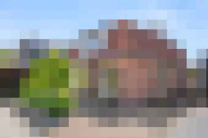 Kerkhoflaan 22 Bennekom thumbnail 4