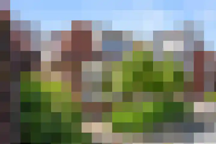 Kerkhoflaan 22 Bennekom thumbnail 5