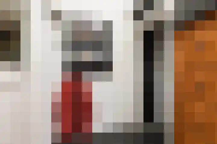 Kerkhoflaan 22 Sneek thumbnail 13