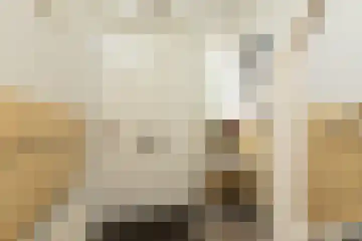 Kerkhoflaan 22 Sneek thumbnail 18