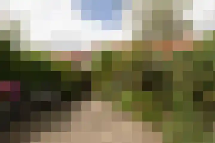 Kerkhoflaan 22 Sneek thumbnail 32