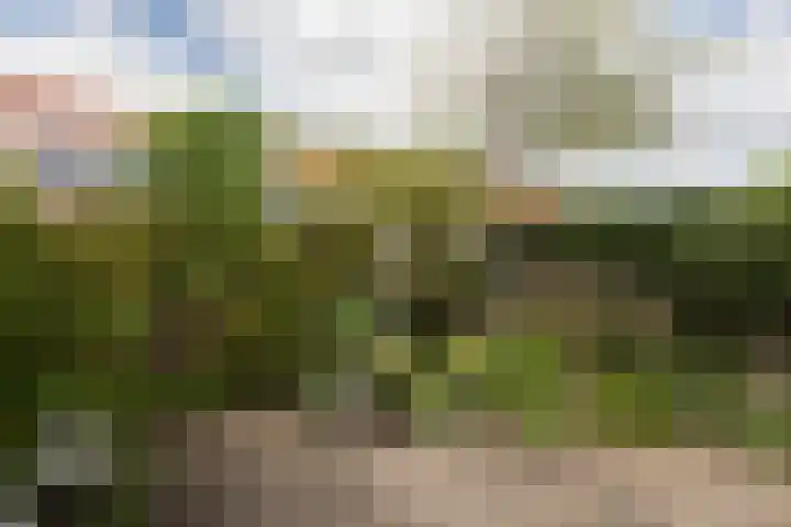 Kerkhoflaan 22 Sneek thumbnail 33