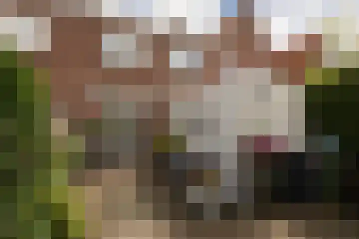 Kerkhoflaan 22 Sneek thumbnail 34