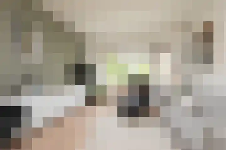 Kerkhoflaan 22 Sneek thumbnail 4