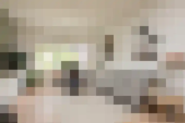 Kerkhoflaan 22 Sneek thumbnail 8