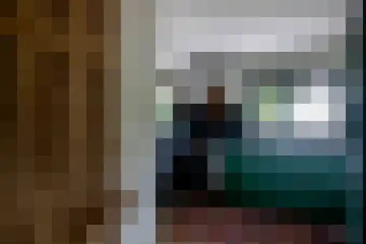 Kerkhoflaan 26 Sintjohannesga thumbnail 15