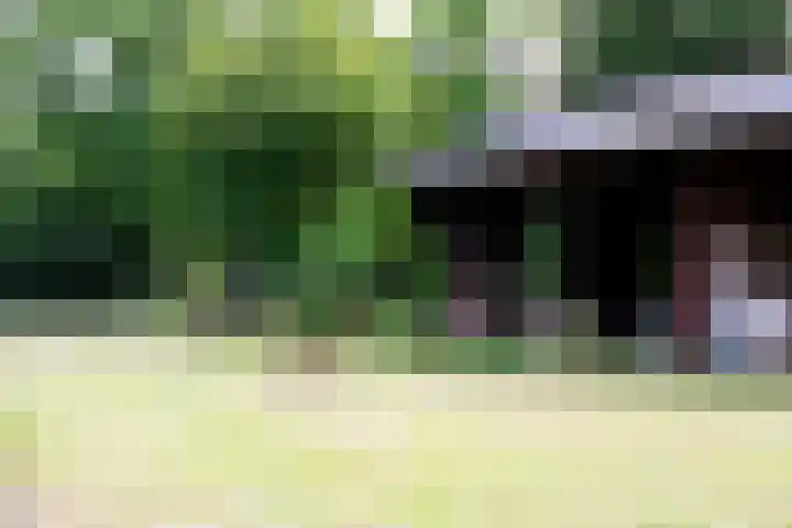Kerkhoflaan 26 Sintjohannesga thumbnail 35