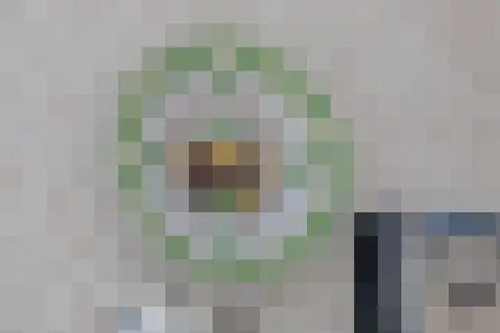 Kerkhoflaan 30 Koudekerke thumbnail 10