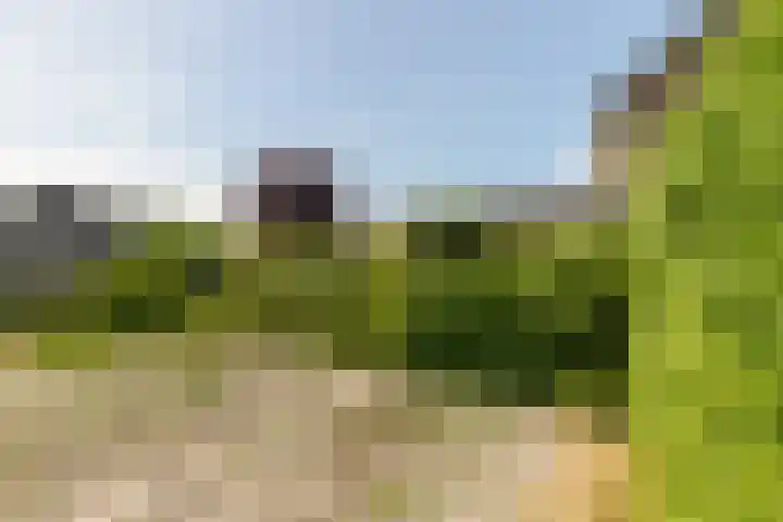 Kerkhoflaan 30 Koudekerke thumbnail 28