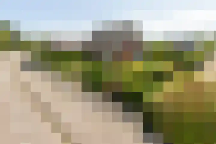 Kerkhoflaan 30 Koudekerke thumbnail 31