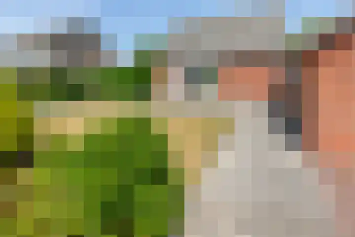 Kerkhoflaan 30 Koudekerke thumbnail 4