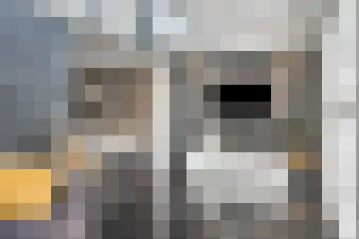 Kerkhoflaan 33 Nistelrode thumbnail 11