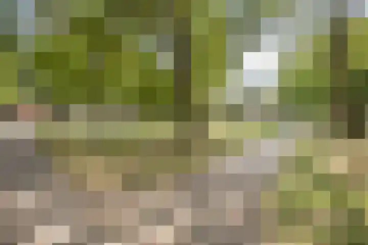 Kerkhoflaan 33 Nistelrode thumbnail 41