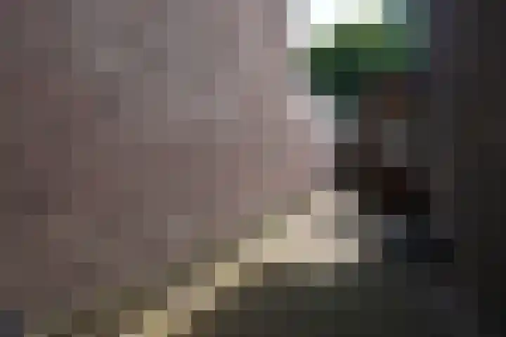 Kerkhoflaan 4 Geleen thumbnail 29