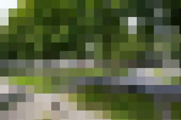 Kerkhoflaan 4 Geleen thumbnail 33