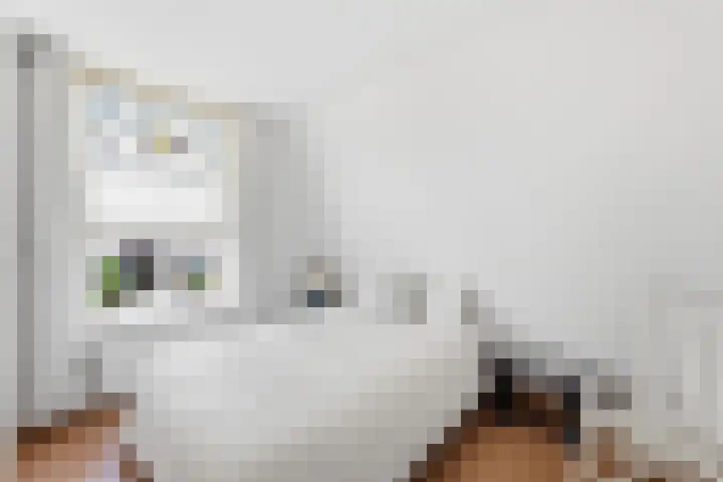Kerkhoflaan 4 Koudekerke thumbnail 24