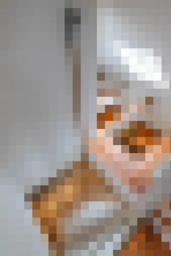 Kerkhoflaan 4 Noordwolde thumbnail 33