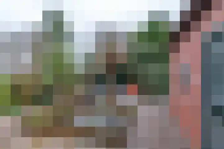 Kerkhoflaan 4 Noordwolde thumbnail 43