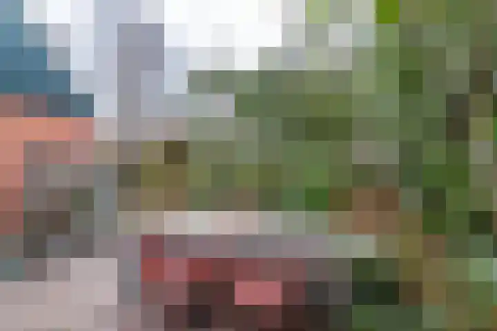 Kerkhoflaan 4 Noordwolde thumbnail 47