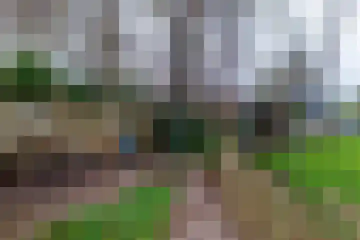 Kerkhoflaan 4 Noordwolde thumbnail 48