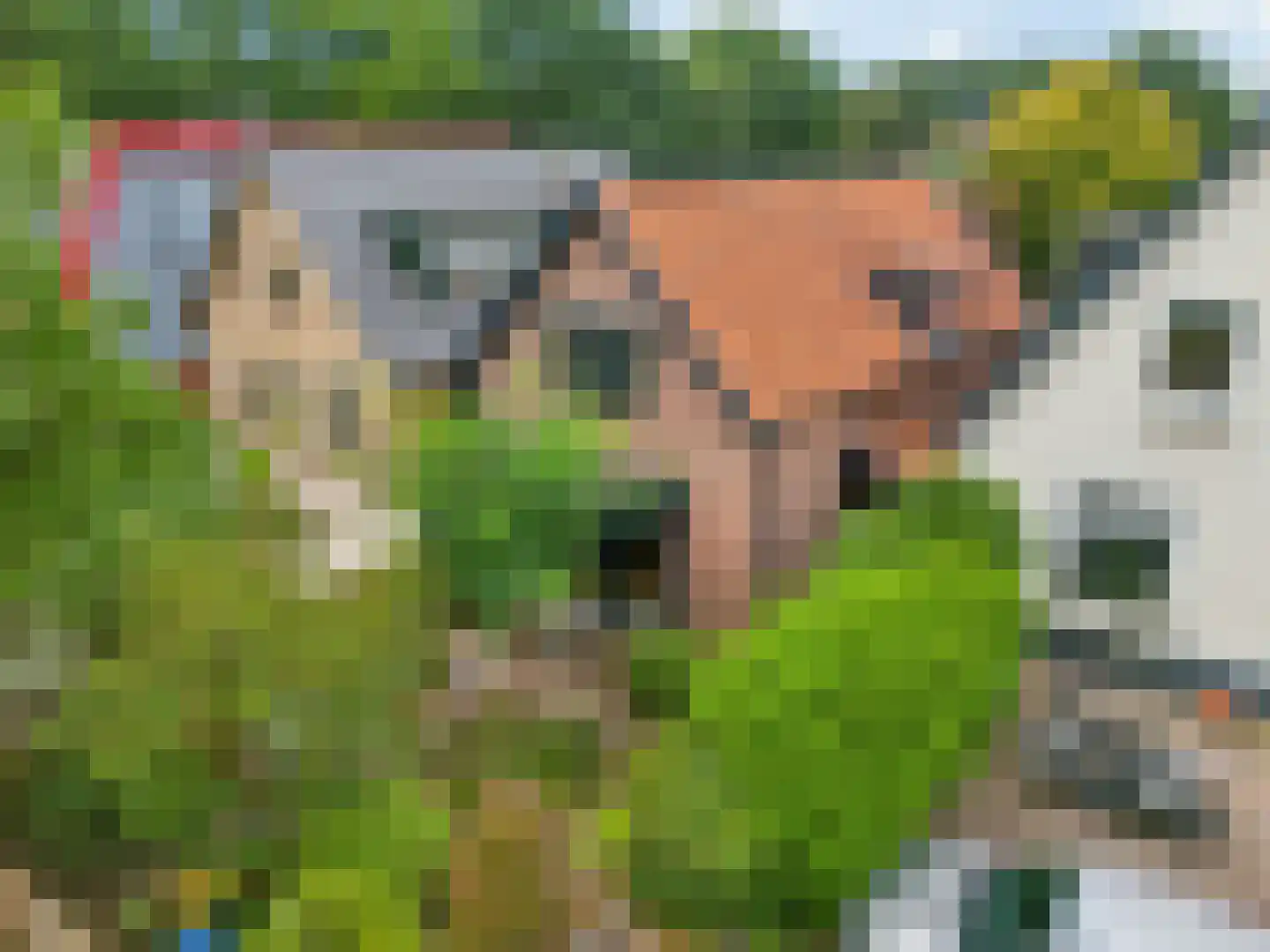 Kerkhoflaan 5 Ede thumbnail 42