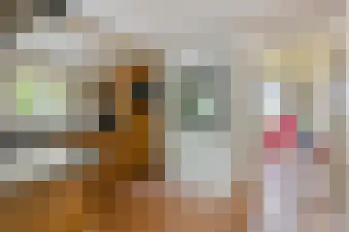 Kerkhoflaan 5 Sintjohannesga thumbnail 13