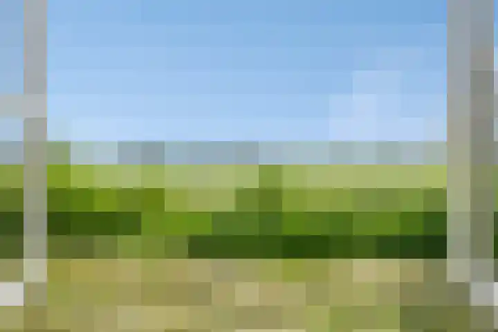 Kerkhoflaan 5 Sintjohannesga thumbnail 18