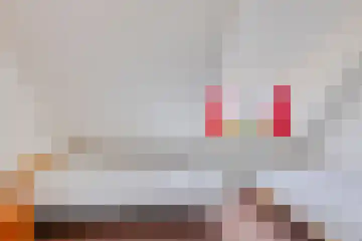 Kerkhoflaan 5 Sintjohannesga thumbnail 21