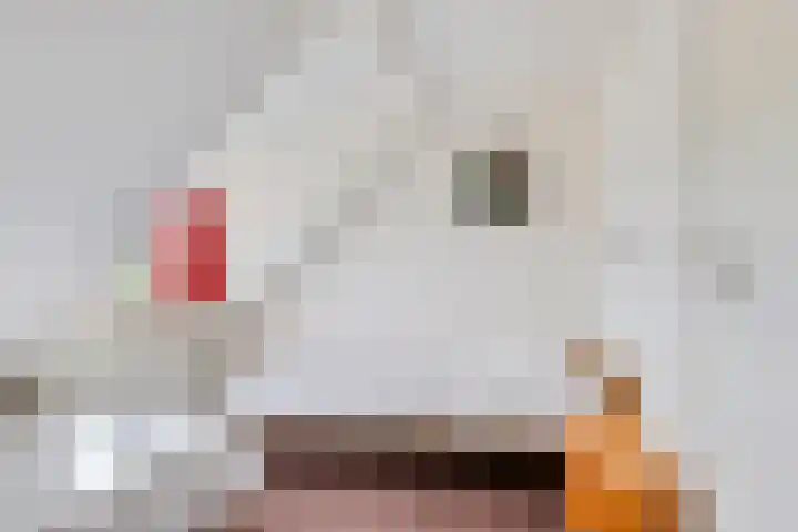 Kerkhoflaan 5 Sintjohannesga thumbnail 22