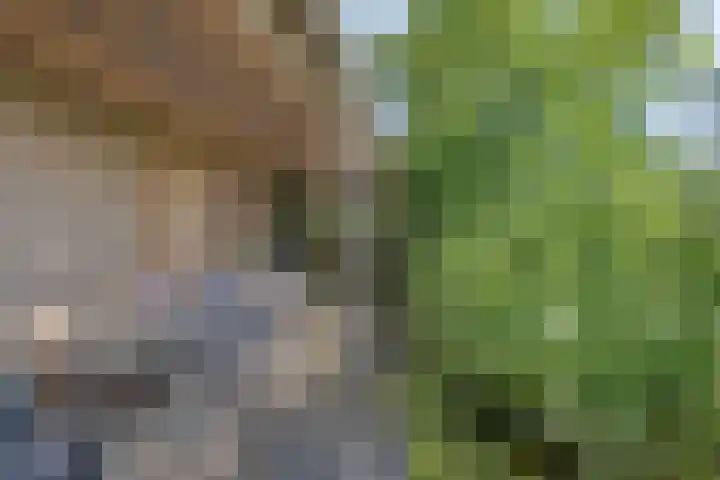 Kerkhoflaan 5 Sintjohannesga thumbnail 31