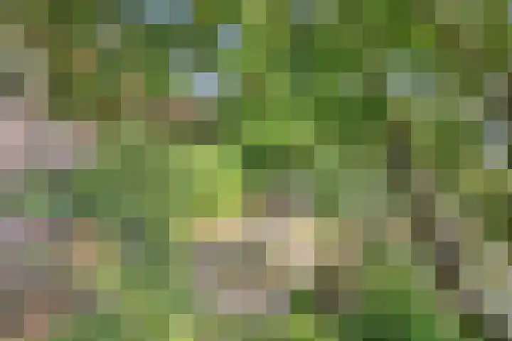 Kerkhoflaan 5 Sintjohannesga thumbnail 34
