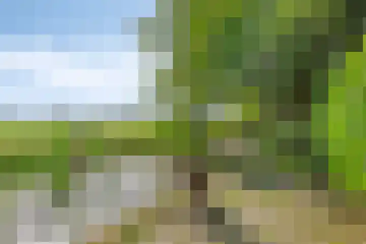 Kerkhoflaan 5 Sintjohannesga thumbnail 35