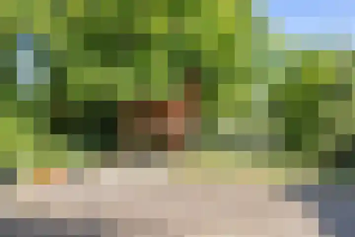 Kerkhoflaan 5 Sintjohannesga thumbnail 37