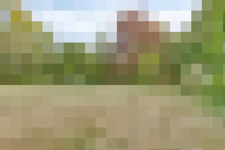 Kerkhoflaan 5 Sintjohannesga thumbnail 38