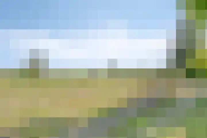 Kerkhoflaan 5 Sintjohannesga thumbnail 39