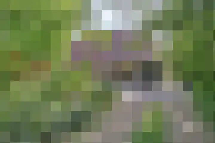 Kerkhoflaan 5 Sintjohannesga thumbnail 4