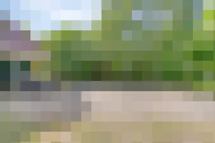 Kerkhoflaan 5 Sintjohannesga thumbnail 6