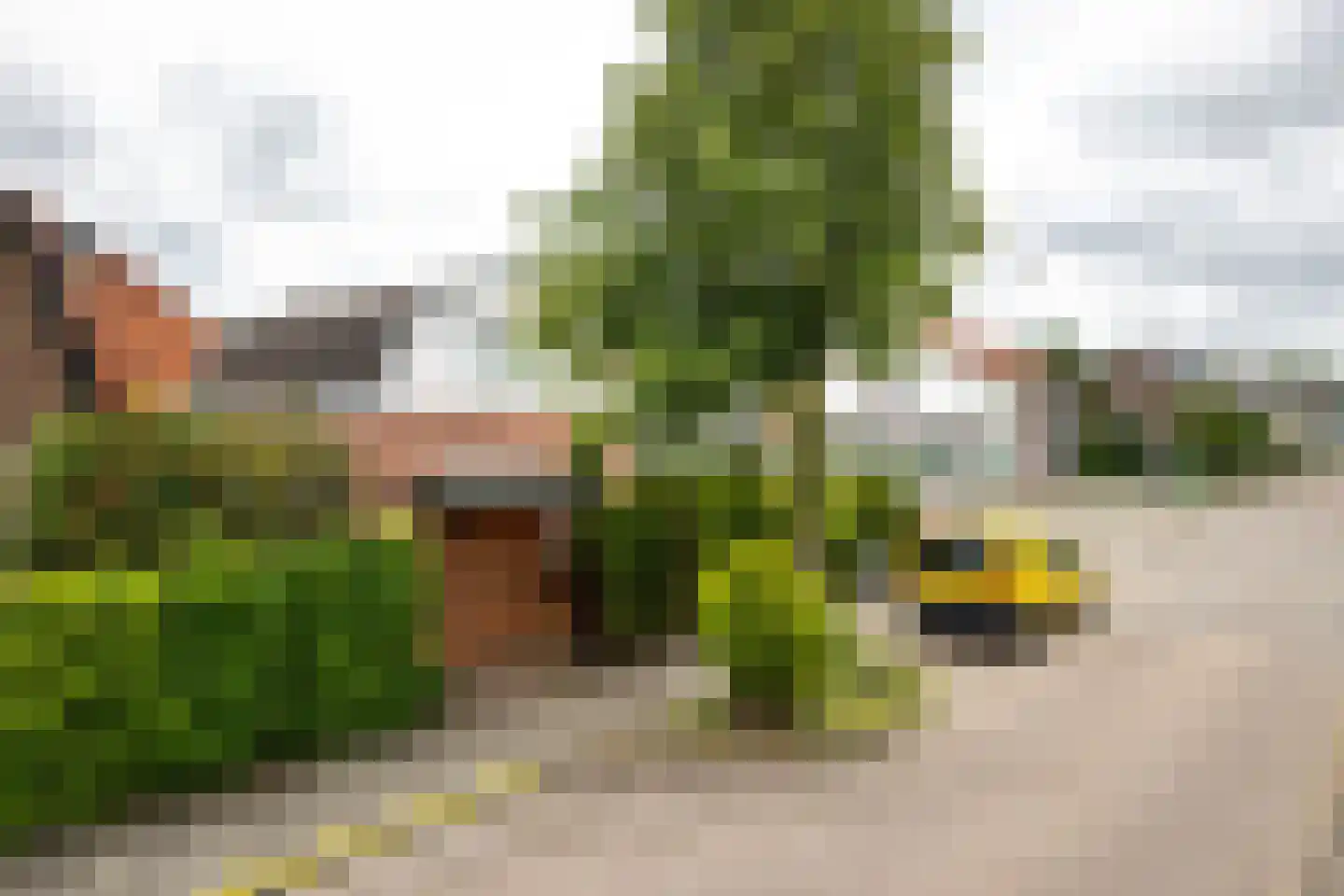 Kerkhoflaan 58 Zwanenburg thumbnail 28