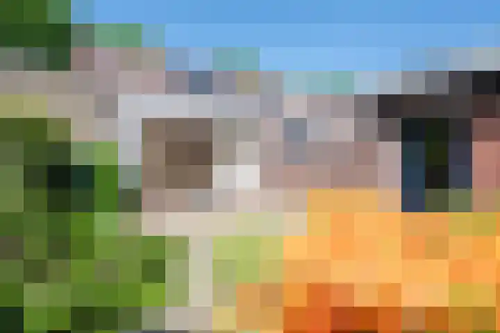 Kerkhoflaan 6 Geleen thumbnail 20