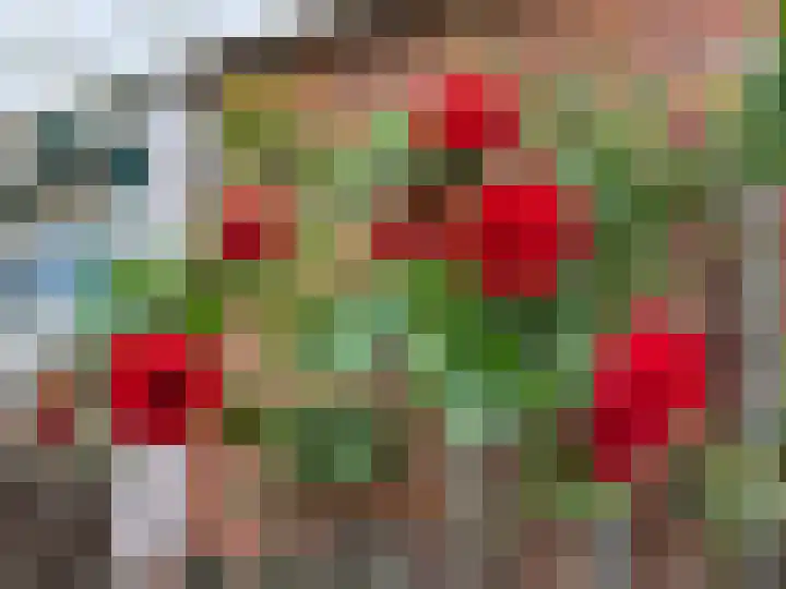 Kerkhoflaan 6 Sneek thumbnail 36